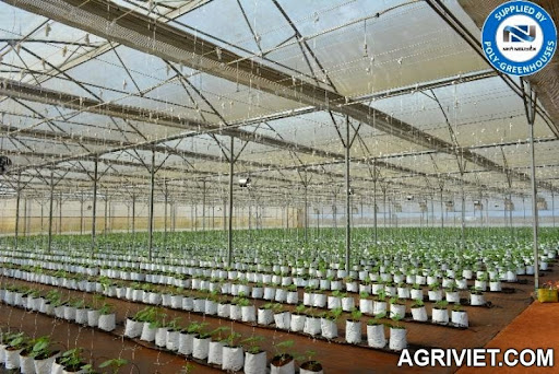 Agriviet.Com-DSC_06.jpg