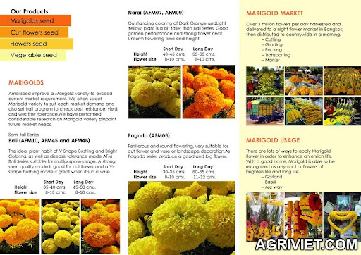 Agriviet.Com-ameriseed-products-2.jpg