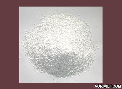 Agriviet.Com-Dicalcium_phosphate_DCP_MDCP_MCP_Feed_Additives.jpg