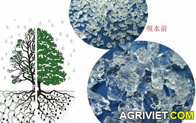 Agriviet.Com-super-absorb-polymer-sap-for-agriculture-diaper-225356.jpeg