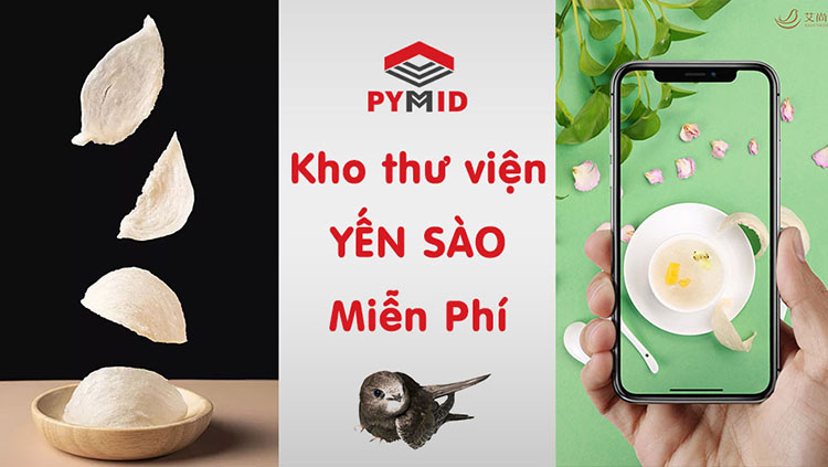 Kho thư viện yến sào Việt Nam - App Pymid