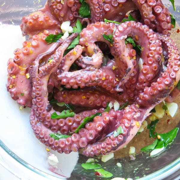 octopus-10.jpg